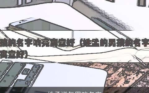 姓孟洋气男孩名字