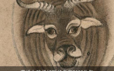 苑姓女孩子好听的名字2023牛年