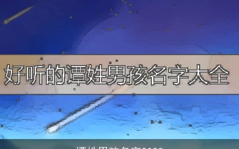 谭姓男孩名字2023