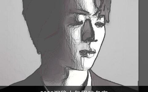 2024沉稳大气男孩名字