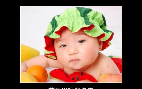 芦氏男孩起名字