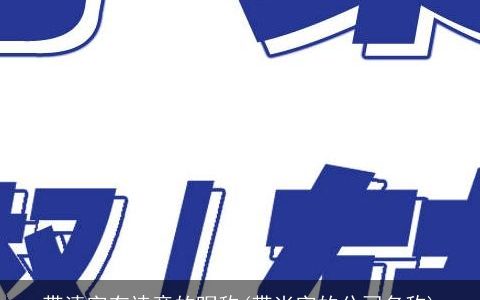 带清字有诗意的昵称(带尚字的公司名称)