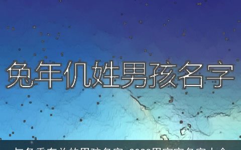 与冬季有关的男孩名字 2024男宝宝名字大全