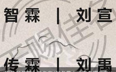 男孩起名带水的名字(起名带水的字有哪些字)