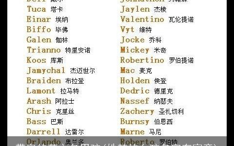 带奥的英文名男孩(姓韩的女孩名字有寓意)