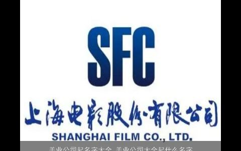 美业公司起名字大全 美业公司大全起什么名字大全好 2024温柔文静诗意的公司公司名字