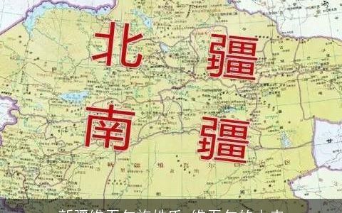 新疆维吾尔族姓氏 维吾尔的由来