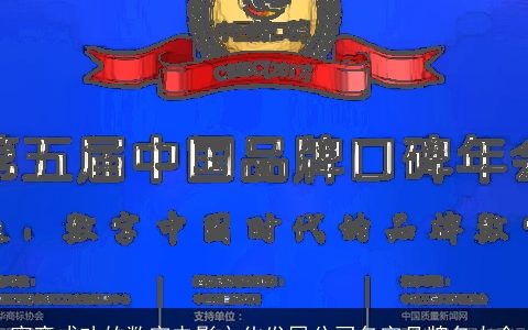 寓意成功的数字电影文化发展公司名字品牌名大全