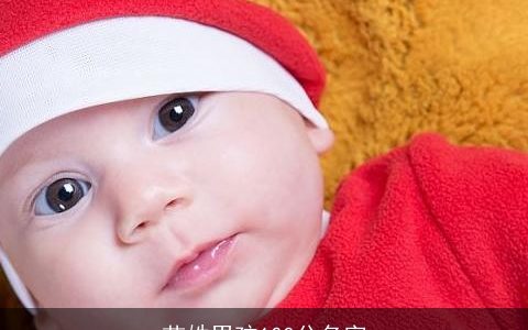 苗姓男孩100分名字