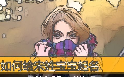 宋姓男孩名字大全2024洋气