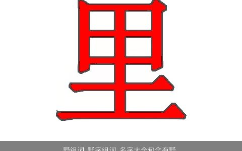 野组词 野字组词 名字大全包含有野的词语成语 稀少新颖的成语名字最新