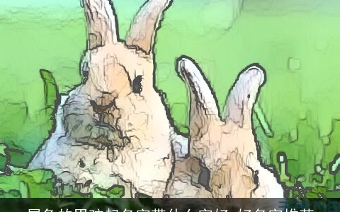 属兔的男孩起名字带什么字好 好名字推荐