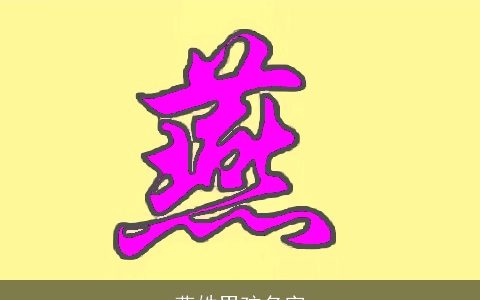 燕姓男孩名字