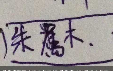 姓乔想取四个字的名字(我姓乔想给孩子起个名字)