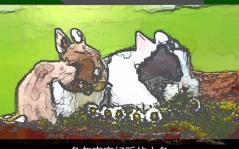 兔年宝宝好听的小名