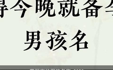 带翌字的男孩名字 2023