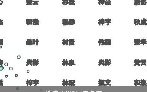 姓盛的男孩4字名字