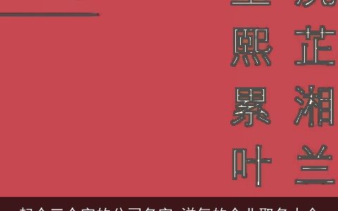 起个三个字的公司名字 洋气的企业取名大全