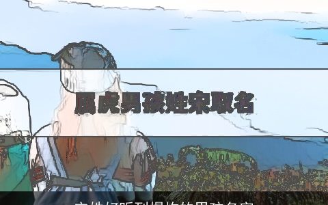 宋姓好听到爆炸的男孩名字