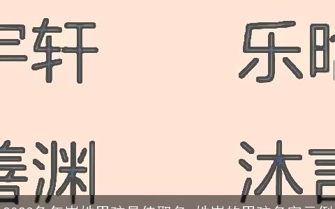 2024兔年岑姓男孩最佳取名 姓岑的男孩名字示例