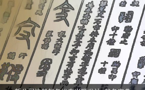 新公司注册起名代表兴旺发达 起名字典