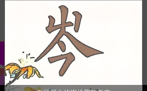 五行属火的岑姓男孩名字