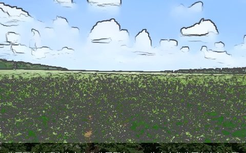 公司取名技巧之生态农业公司取名 2024生态农业公司名字怎么取