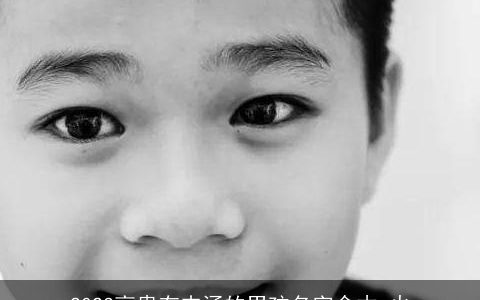 2023高贵有内涵的男孩名字含木 火