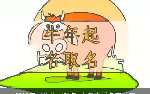 2024年属龙公司起名 大气吉祥名字推荐