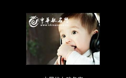 木属的女孩名字