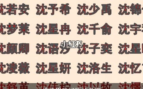 姓沈男孩好听的名字