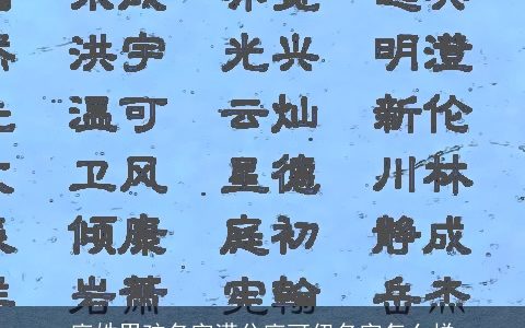 廖姓男孩名字满分廖可伊名字怎么样