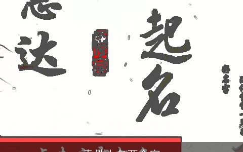 袁姓小名两个字