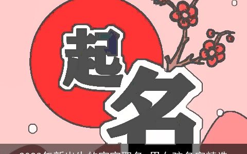 2024年新出生的宝宝取名 男女孩名字精选