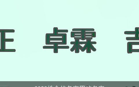 2023姓金的名字男孩名字