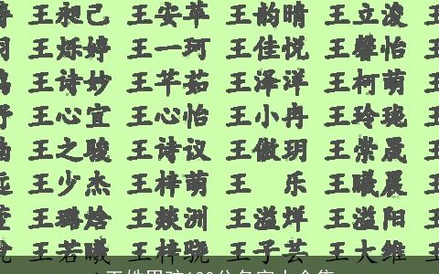 王姓男孩100分名字大全集