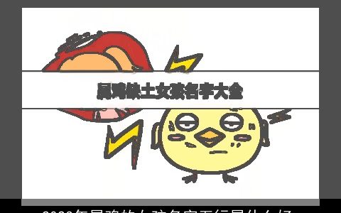 2023年属鸡的女孩名字五行属什么好_