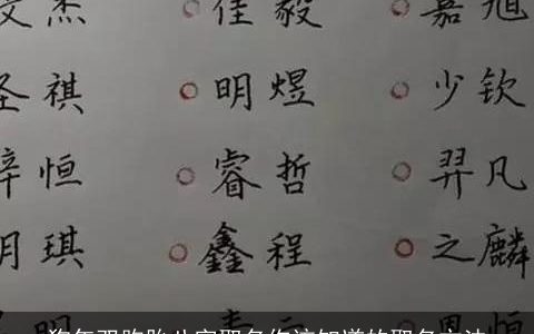 狗年双胞胎八字取名你该知道的取名方法