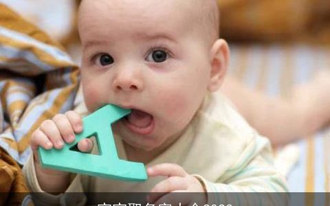 宝宝取名字大全2023