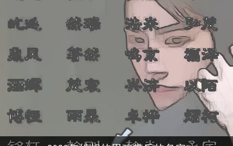 2023年姓胡的男孩带乐的名字