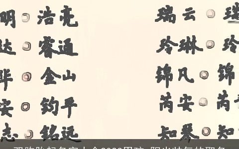 双胞胎起名字大全2023男孩 阳光帅气的取名