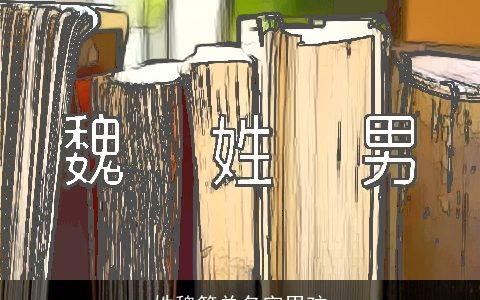 姓魏简单名字男孩