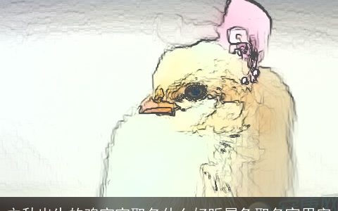 立秋出生的鸡宝宝取名什么好听属龙取名宜用字