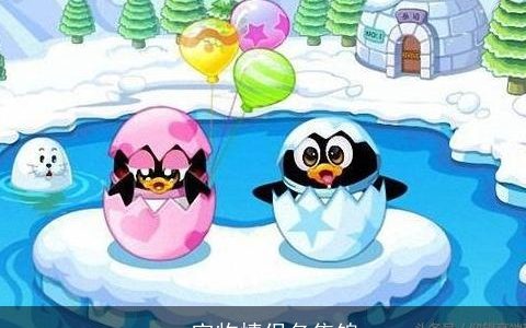 qq宠物情侣名集锦