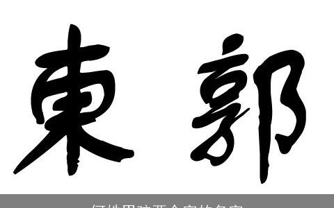 何姓男孩两个字的名字