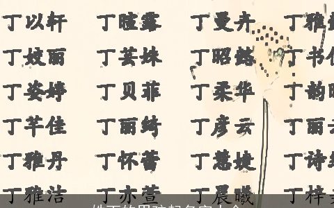 姓丁的男孩起名字大全