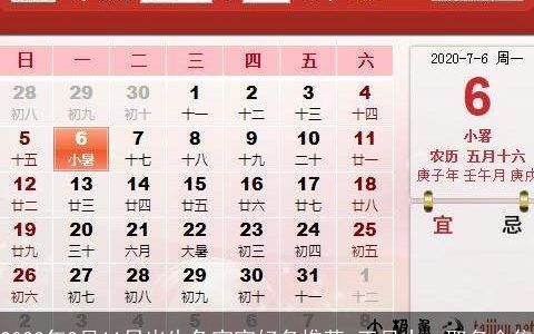 2023年2月11日出生兔宝宝好名推荐 正月十一取名合集