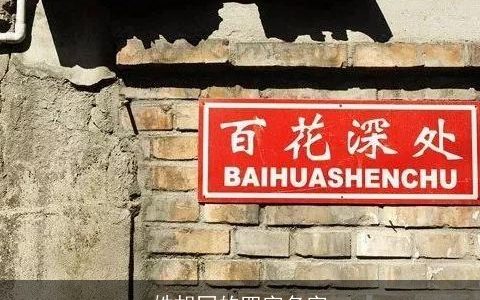 姓胡同的四字名字