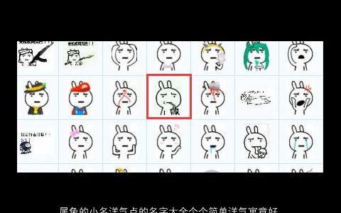 属兔的小名洋气点的名字大全个个简单洋气寓意好等你来挑 洋气简单洋气寓意的虎小名名字大全精挑