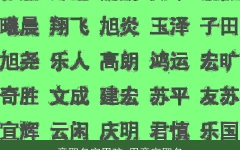 意取名字男孩 用意字取名